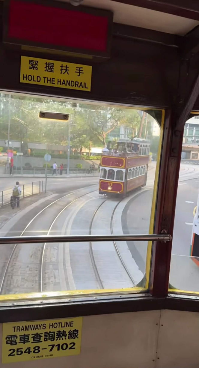 Cichopek i Kurzajewski na urlopie daleko od Polski. Nie poprowadzą Sylwestra w Toruniu