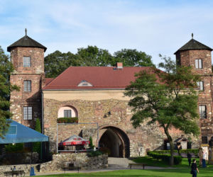 Zamek w Toszku