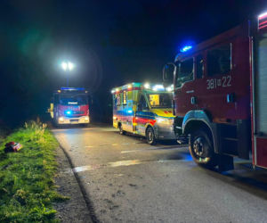 Taksówka wypadła z drogi i dachowała pomiędzy miejscowościami Borki Siedleckie i Przygody. W wypadku poszkodowane zostały dwie osoby