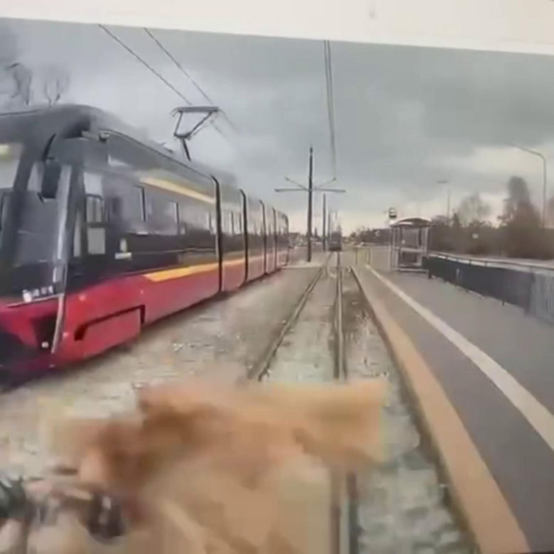 Łódź. Przerażające wypadki z udziałem pieszych. Jest wideo nagranie z tramwaju [ZDJĘCIA].
