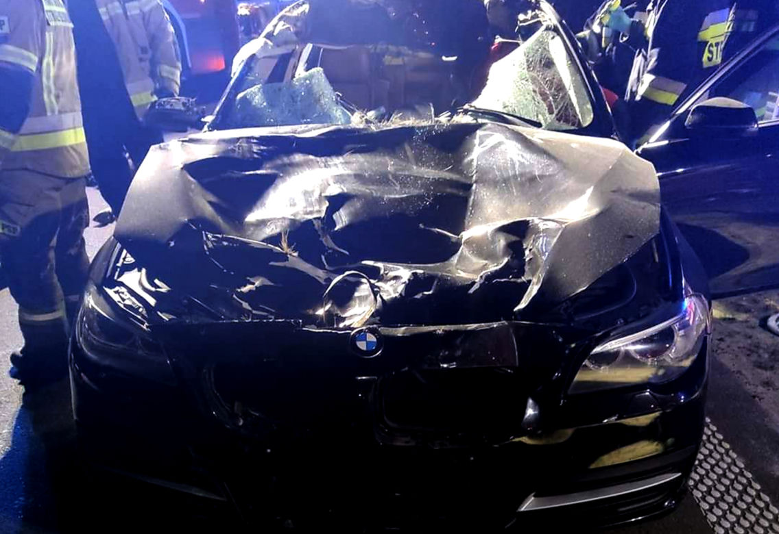 Zderzenie bmw z łosiem w miejscowości Markowszczyzna