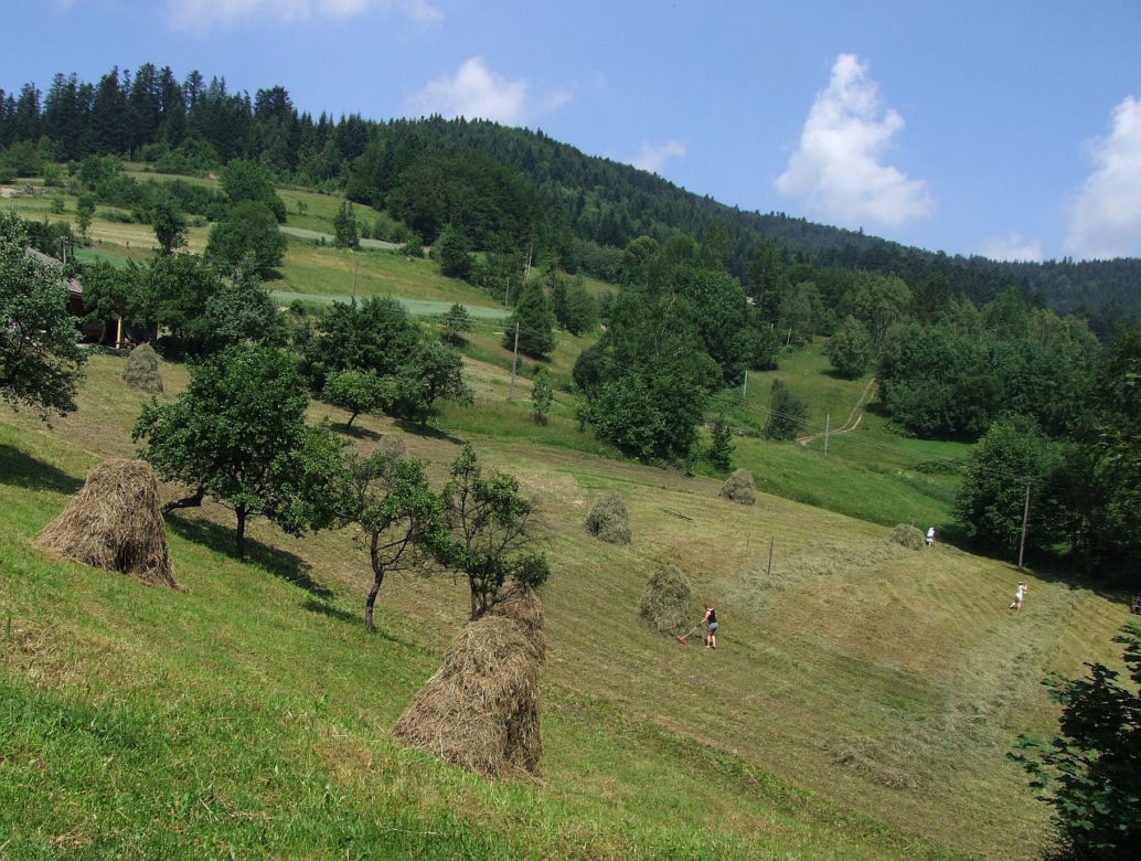 22. Lubomir