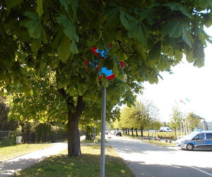 Wejherowo: Znaków nie widać, sypią się mandaty. Straż miejska interweniuje w urzędzie [ZDJĘCIA]