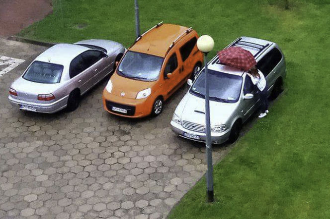 NAJLEPSZA SĄSIADKA POD SŁOŃCEM