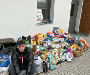 Rekord pobity! Ponad 400 kg karmy zebrane w akcji TikTokera dla schroniska w Ostrowie