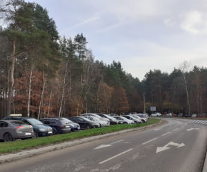 Popularne miejsca spacerowe w Toruniu