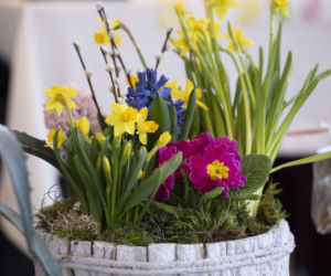 Wielkanoc w Domu Aktora w Skolimowie