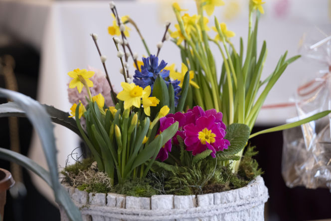 Wielkanoc w Domu Aktora w Skolimowie