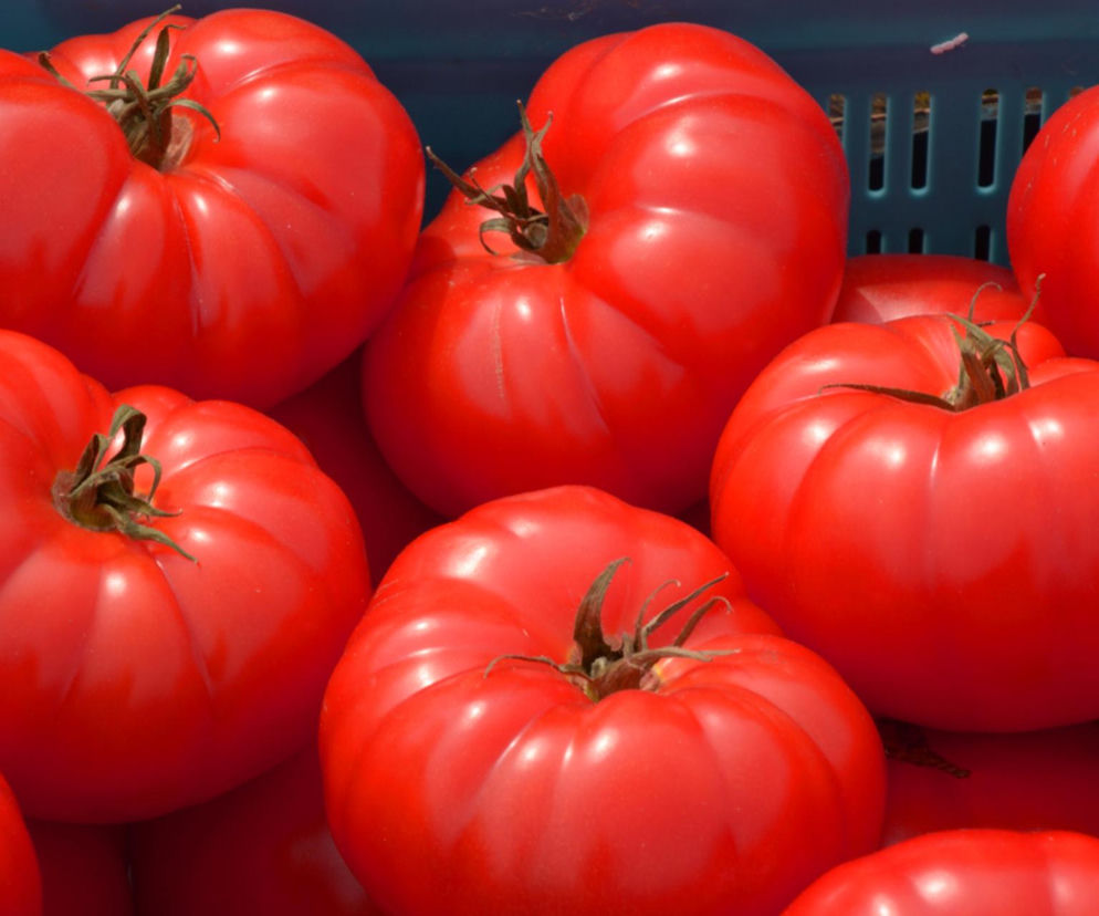Czy pomidory ze sklepu są bezpieczne do spożycia? Eksperci wzięli je pod lupę