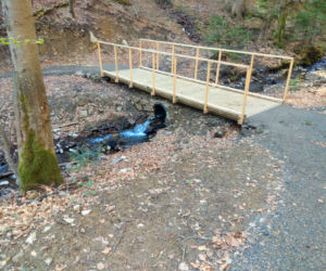 Singletrack pod Honem