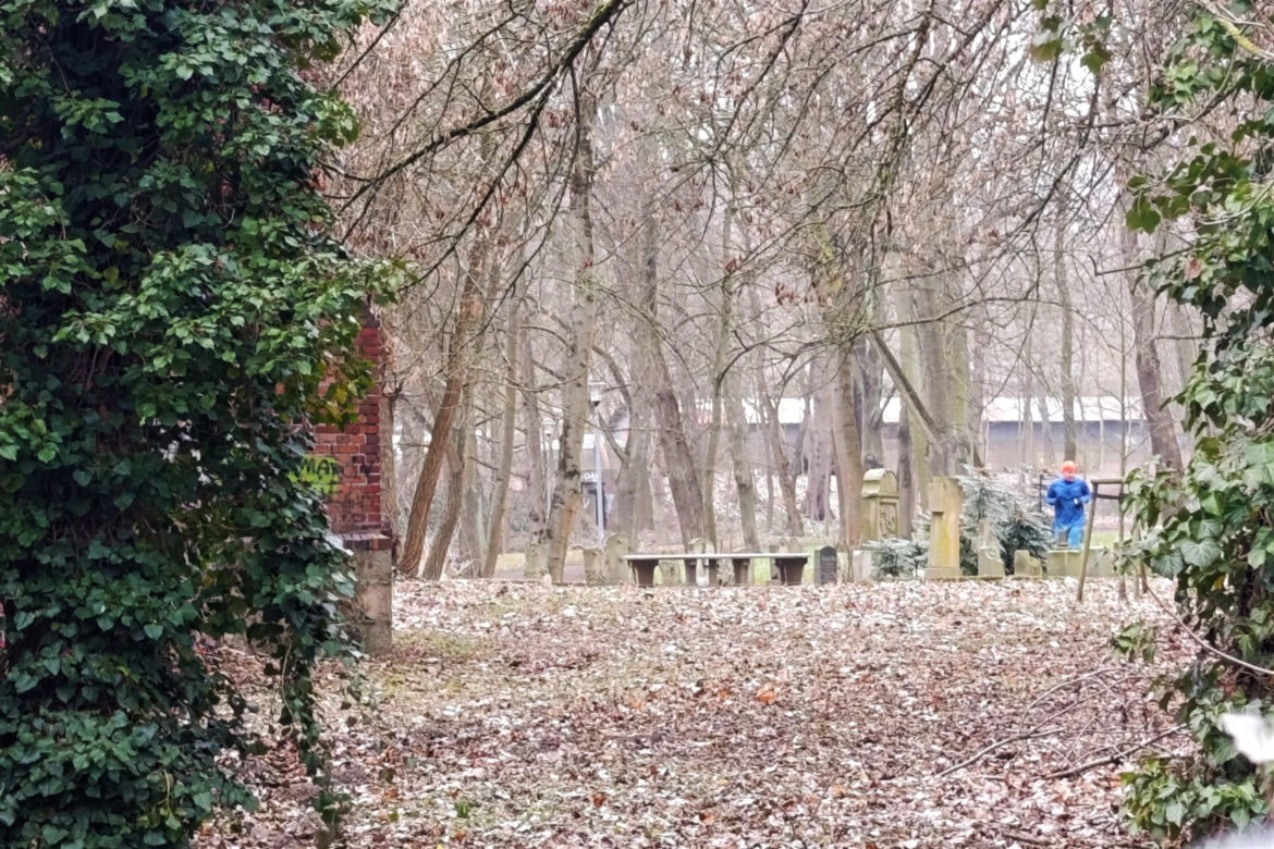 Wandalizm w lapidarium