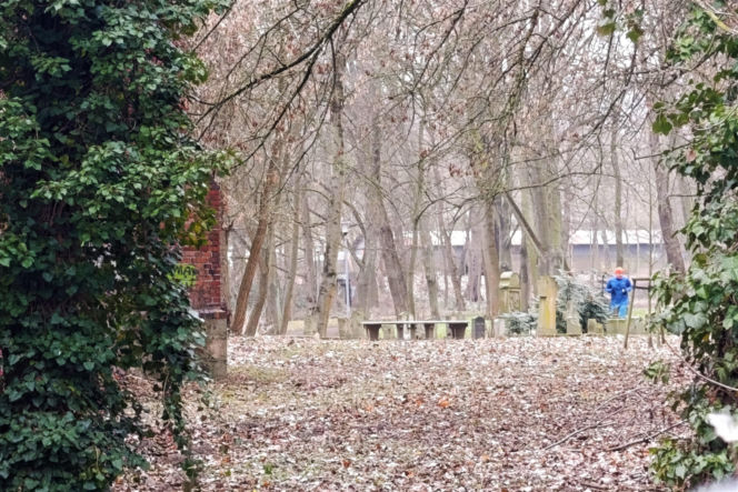Wandalizm w lapidarium