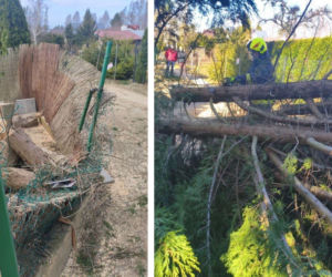 Potężna wichura spustoszyła Pomorze. Tysiące domów bez prądu i wstrzymane pociągi