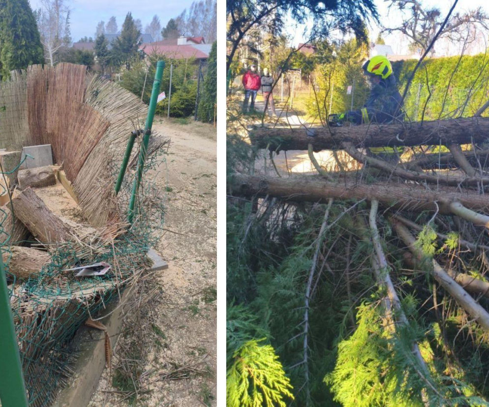 Potężna wichura spustoszyła Pomorze. Tysiące domów bez prądu i wstrzymane pociągi