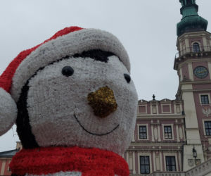 Bajkowa instalacja przed zamojski ratuszem