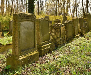 Cmentarz poewangelicki w Osiecznej