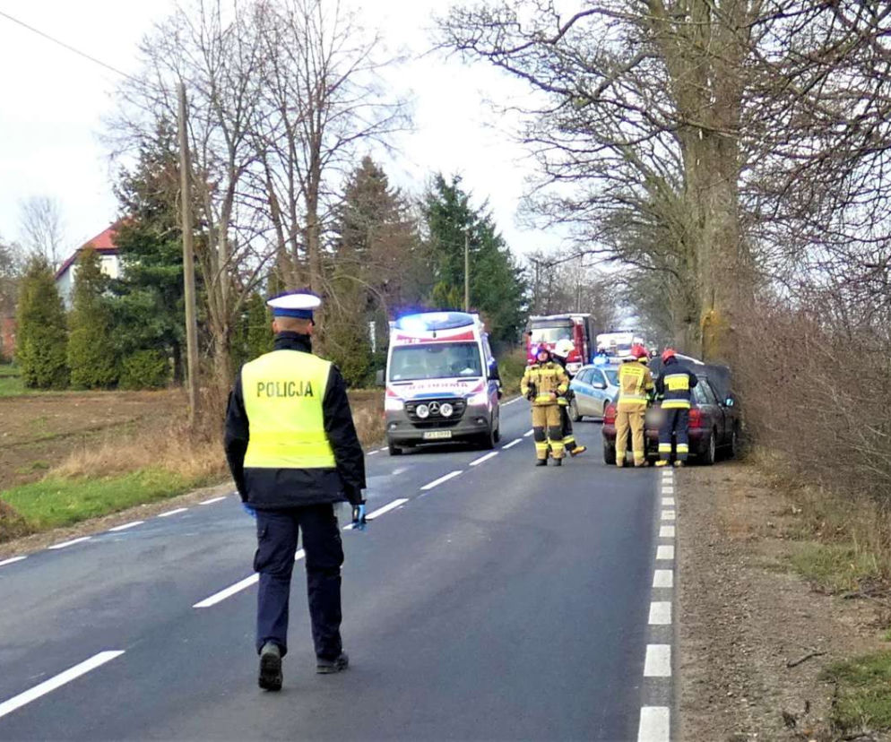 Pomorskie: 22-latka wjechała w drzewo. Groźny wypadek na drodze wojewódzkiej