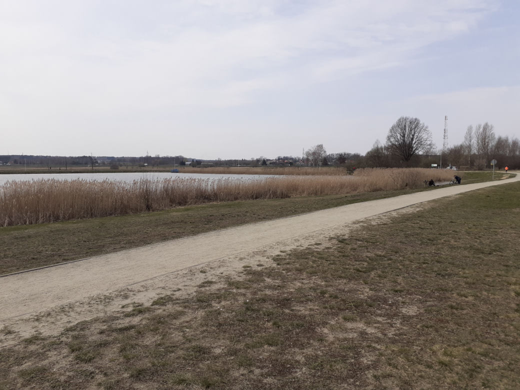 Pierwsza akcja sprzątania brzegów rzeki Muchawki i siedleckiego zalewu w ramach Operacji Czysta Rzeka 2021
