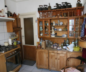 Koty Jarka nas terroryzują