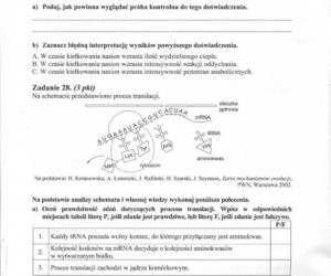MATURA 2012 BIOLOGIA poziom ROZSZERZONY 14.05.2012 - ARKUSZE, ZADANIA, PYTANIA, ODPOWIEDZI