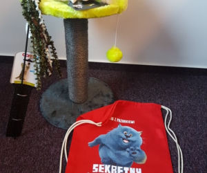 Nagrody - sekretny świat kotów