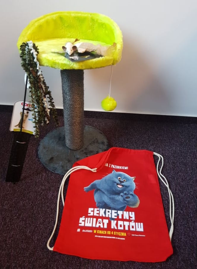 Nagrody - sekretny świat kotów
