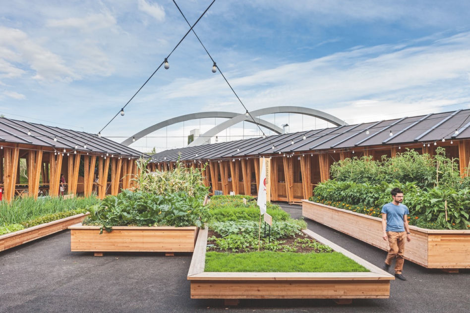 Expo 2015 – architektura globalnej uczty