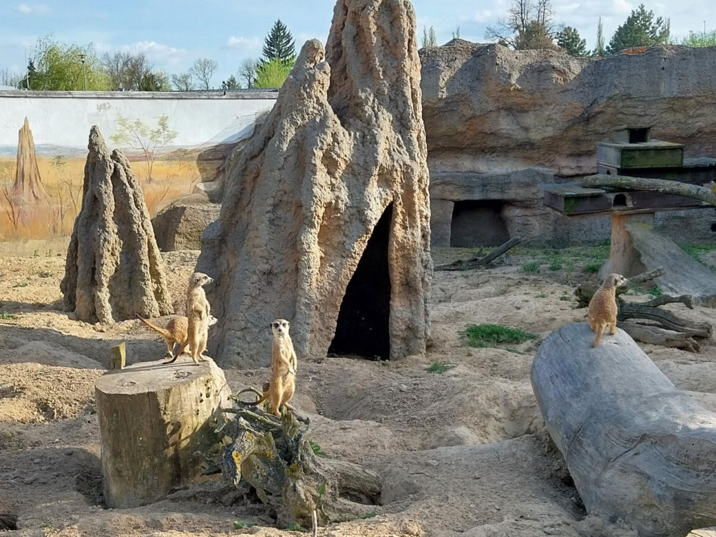 Wiosenny spacer w zamojskim zoo