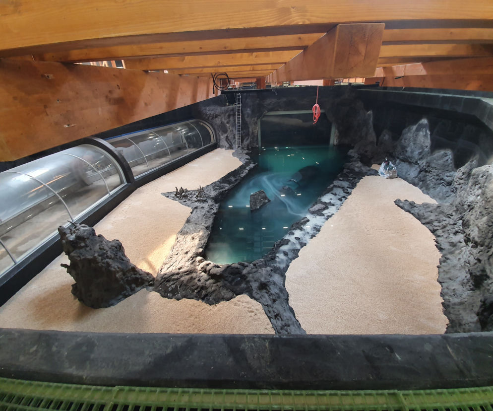 Tunel podwodny Orientarium Łódź