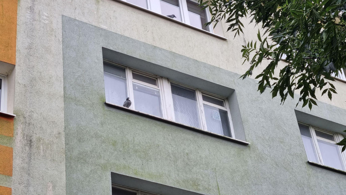 Dawni sąsiedzi Grzegorza Borysa nie mogą uwierzyć w to, co stało się w Gdyni