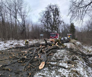 Wichura zniszczyła zabytkową kapliczkę przy sanktuarium
