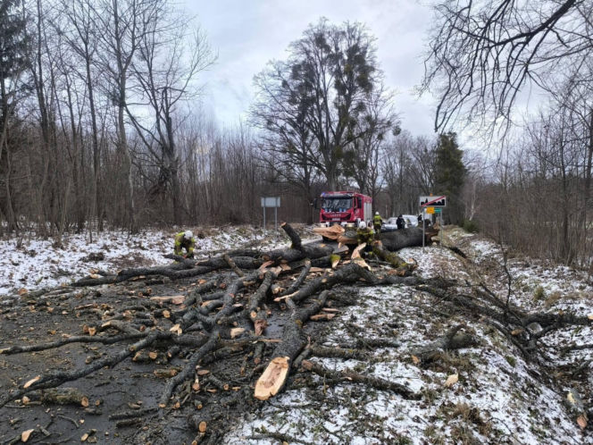 Wichura zniszczyła zabytkową kapliczkę przy sanktuarium