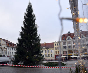 Magia świąt opanowała Bydgoszcz! Na Starym Rynku pojawiła się choinka! [ZDJĘCIA]