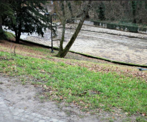Brzeg: miasto zapłaci za donoszenie na policję