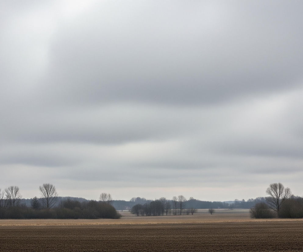 Dominantnym elementem obrazu jest rozległe, puste pole uprawne w kolorze brązowym, zajmujące dolną połowę kadru, z wyraźnie widocznymi bruzdami. Nad nim rozciąga się pas horyzontu z rzadkim, bezlistnym drzewostanem w odcieniach szarości i ciemnego brązu, oddzielony od pola wąskim, jaśniejszym pasem. Niebo, zajmujące całą górną część zdjęcia, jest całkowicie zachmurzone, w jednolitych odcieniach szarości, z kilkoma ciemniejszymi pasmami chmur.