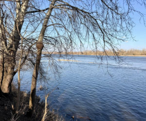 Ciało zostało wyłowione z rzeki, a śledczy próbują teraz ustalić, kim był zmarły i jak znalazł się w wodzie