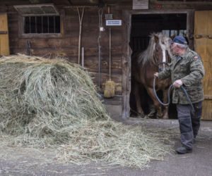 Rolnicy. Podlasie, odcinek 6 [18.04.21]