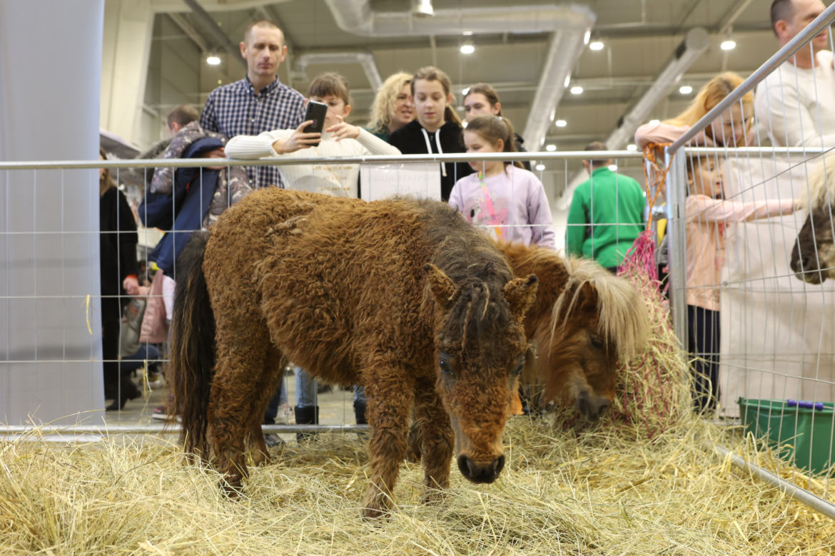 ZooPark 2023 w Lublinie przyciągnął tłumy!
