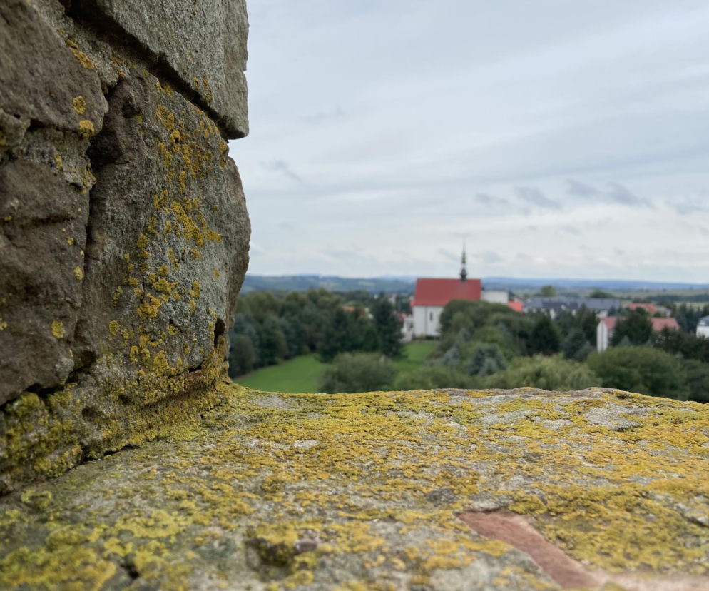 Ta świętokrzyska wieś w TOP 20 atrakcji turystycznych. Przyciąga wiernych z całej Polski