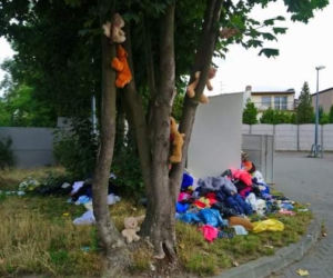 Poznań: Na drzewie wyrosły... misie! Interweniowali strażnicy 