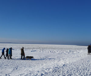 Plaża w Świnoujściu w zimowej odsłonie