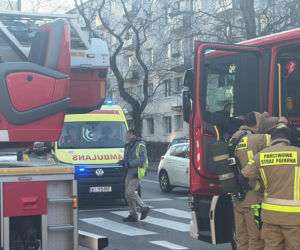 Pożar mieszkania na parterze. Strażacy z ognia wynieśli przerażonego kota
