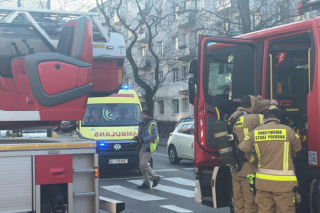 Pożar mieszkania na parterze. Strażacy z ognia wynieśli przerażonego kota