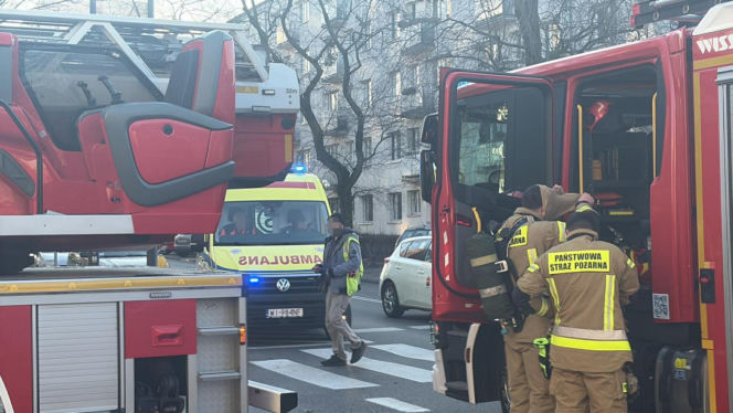 Pożar mieszkania na parterze. Strażacy z ognia wynieśli przerażonego kota
