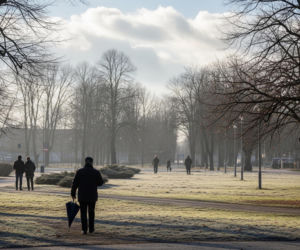 Co dzieje się z pogodą w Żarach? Niewiarygodna temperatura na 8 grudnia!