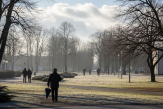 Co dzieje się z pogodą w Żarach? Niewiarygodna temperatura na 8 grudnia!