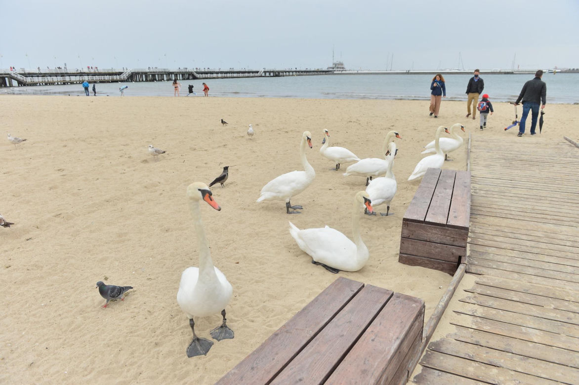 Plaża Sopot