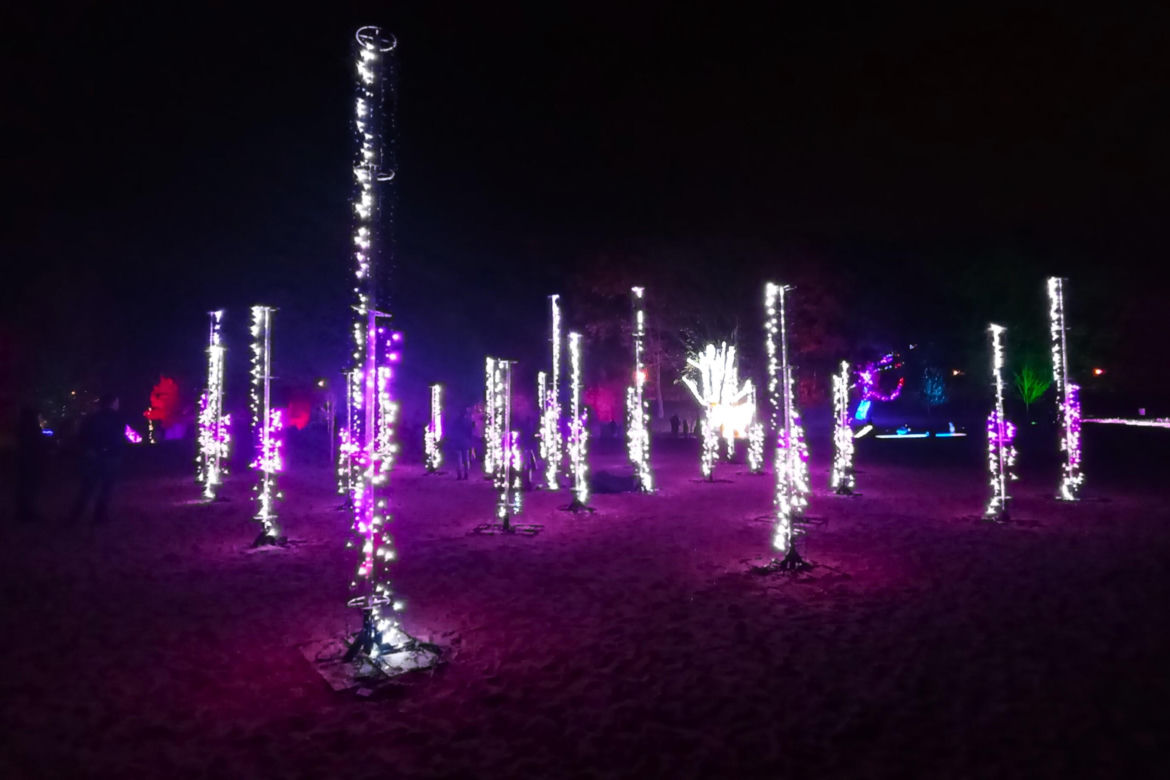 Garden of Lights w Szczecinie