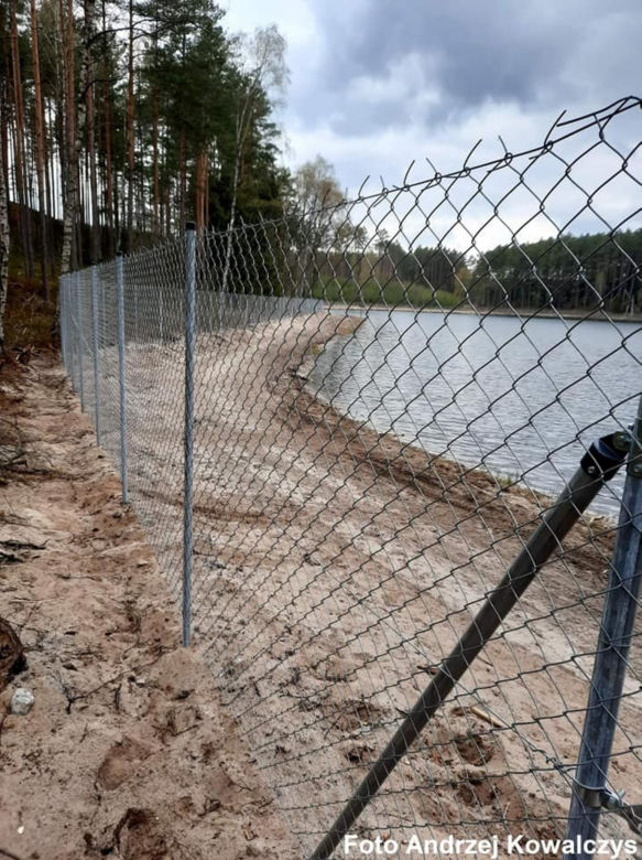 Jezioro Wielkie Oczko ogrodzone płotem. Zwierzęta odcięte od wody. Radny Gdańska: "Takiej dewastacji dawno nie widziałem"