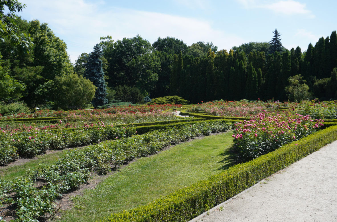 Ogród Botaniczny w Poznaniu 